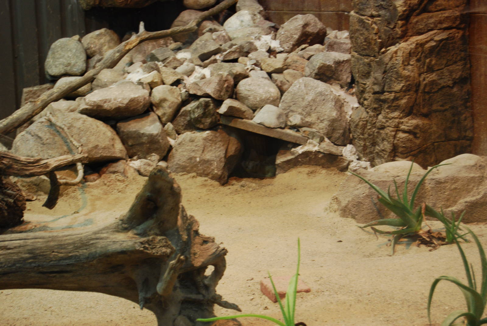 Sancat indoor exbith