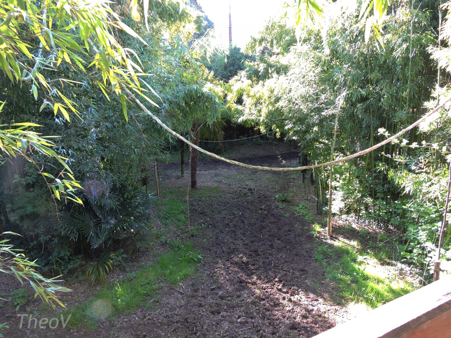 Sanctuaire des okapis [2015]