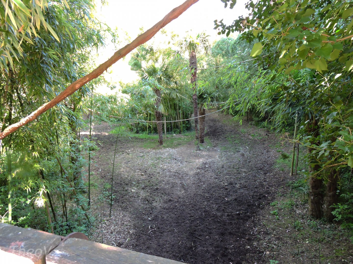 Sanctuaire des okapis [2015]