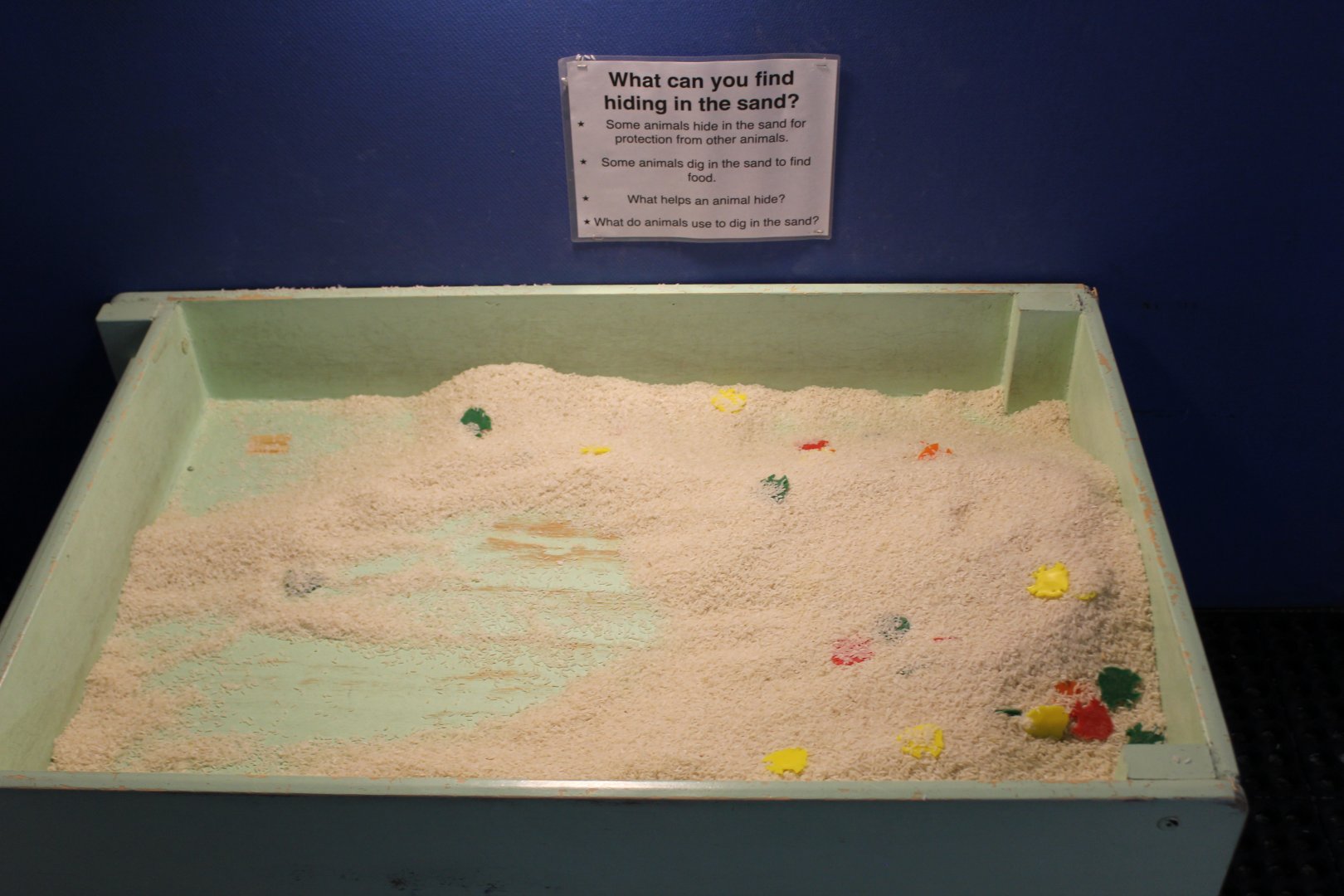 "Sand" Box