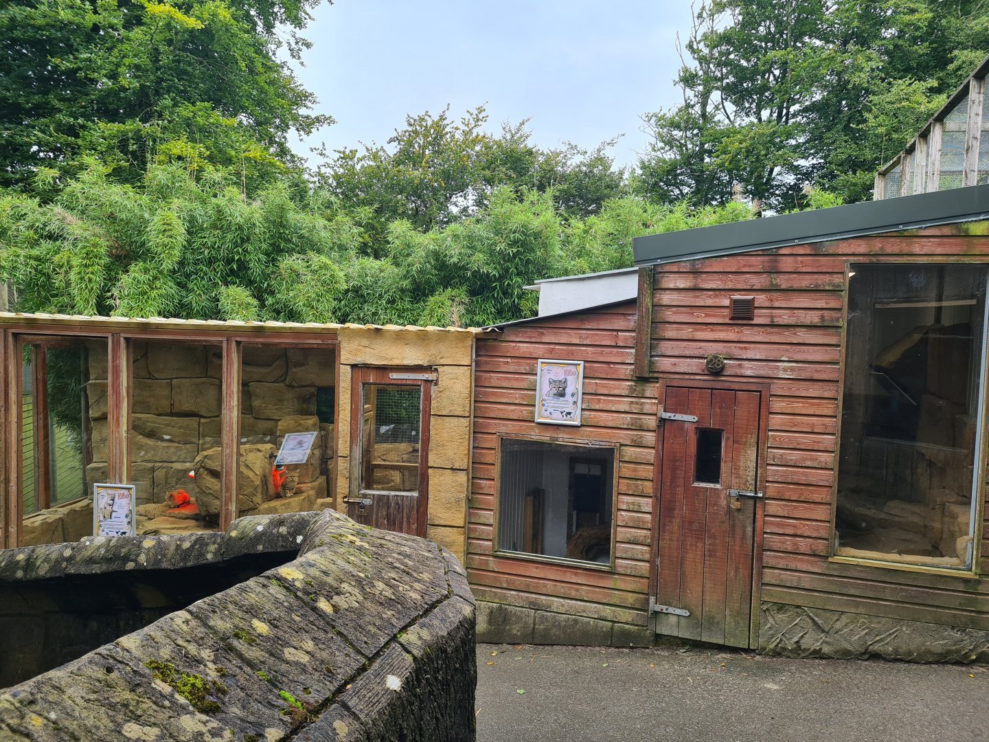 Sand Cat Complex, Exmoor Zoo