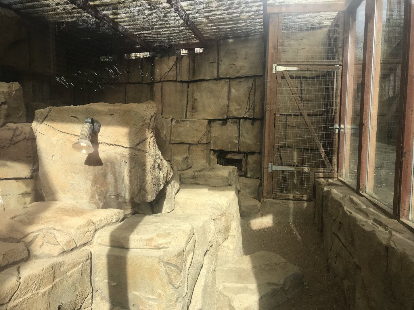 Sand cat enclosure 040319
