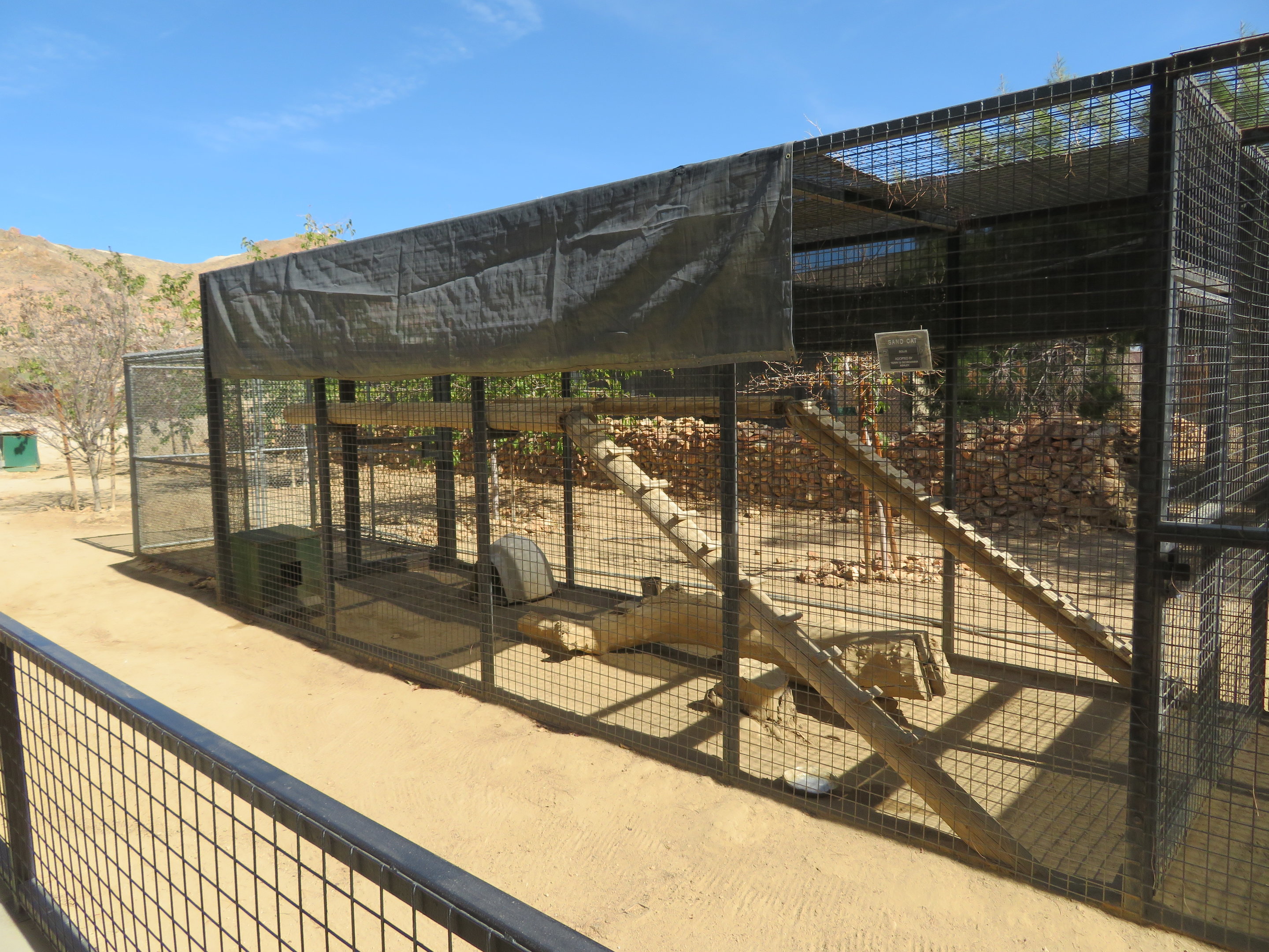 Sand Cat Enclosure (2022)