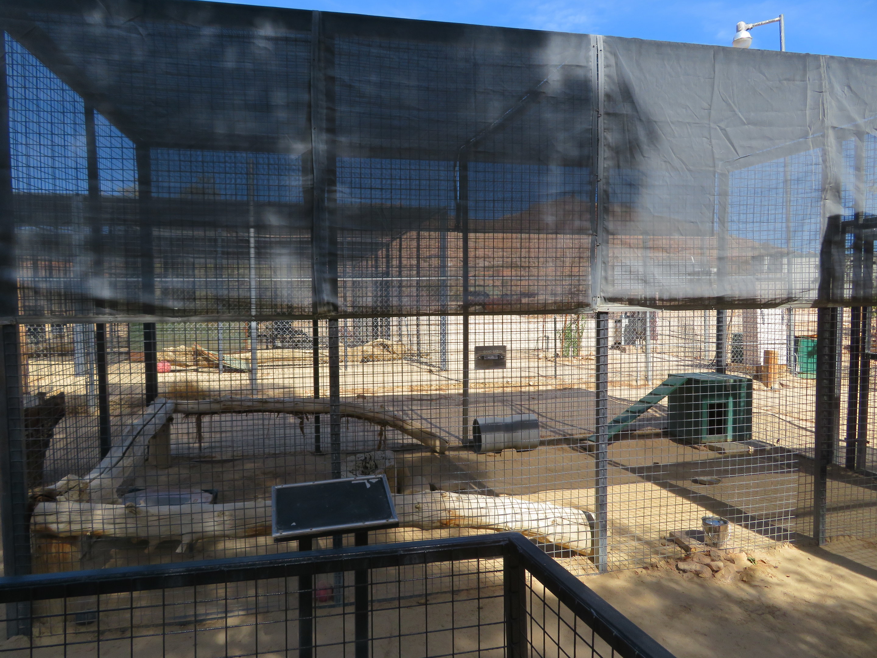Sand Cat Enclosure (2022)