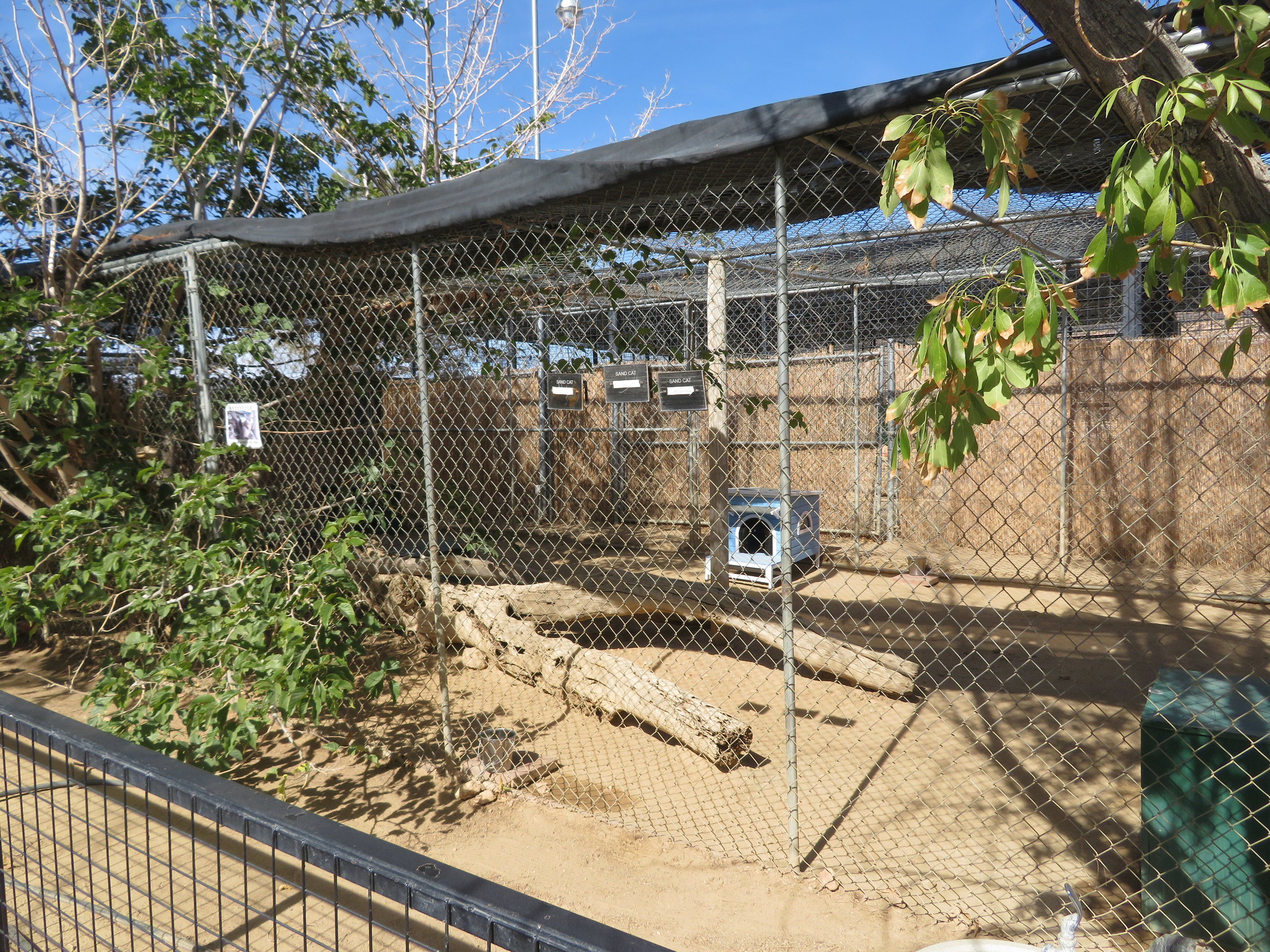 Sand Cat Enclosure (2022)