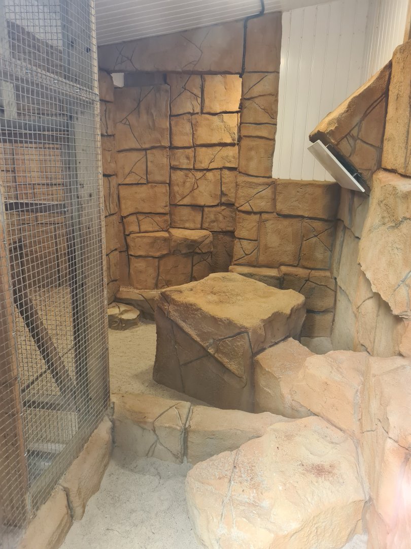 Sand Cat Enclosure Extension, Exmoor Zoo