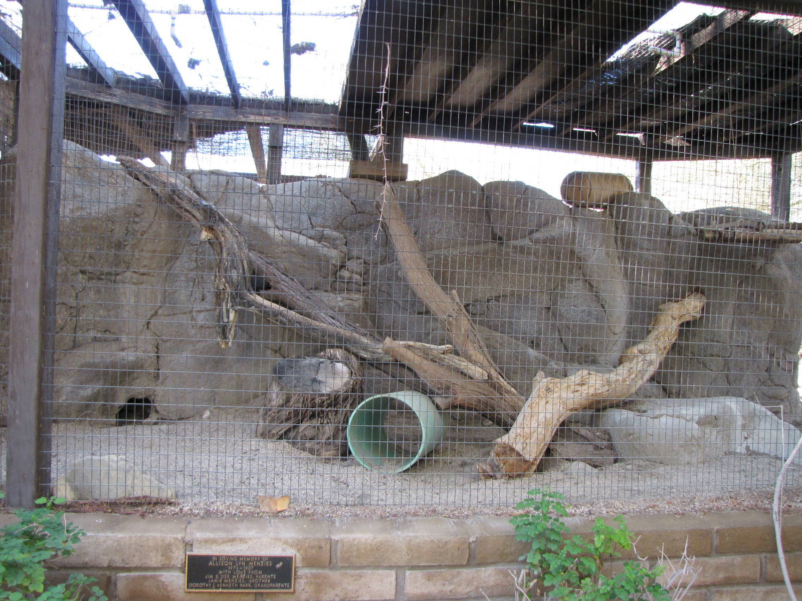 Sand Cat Enclosure