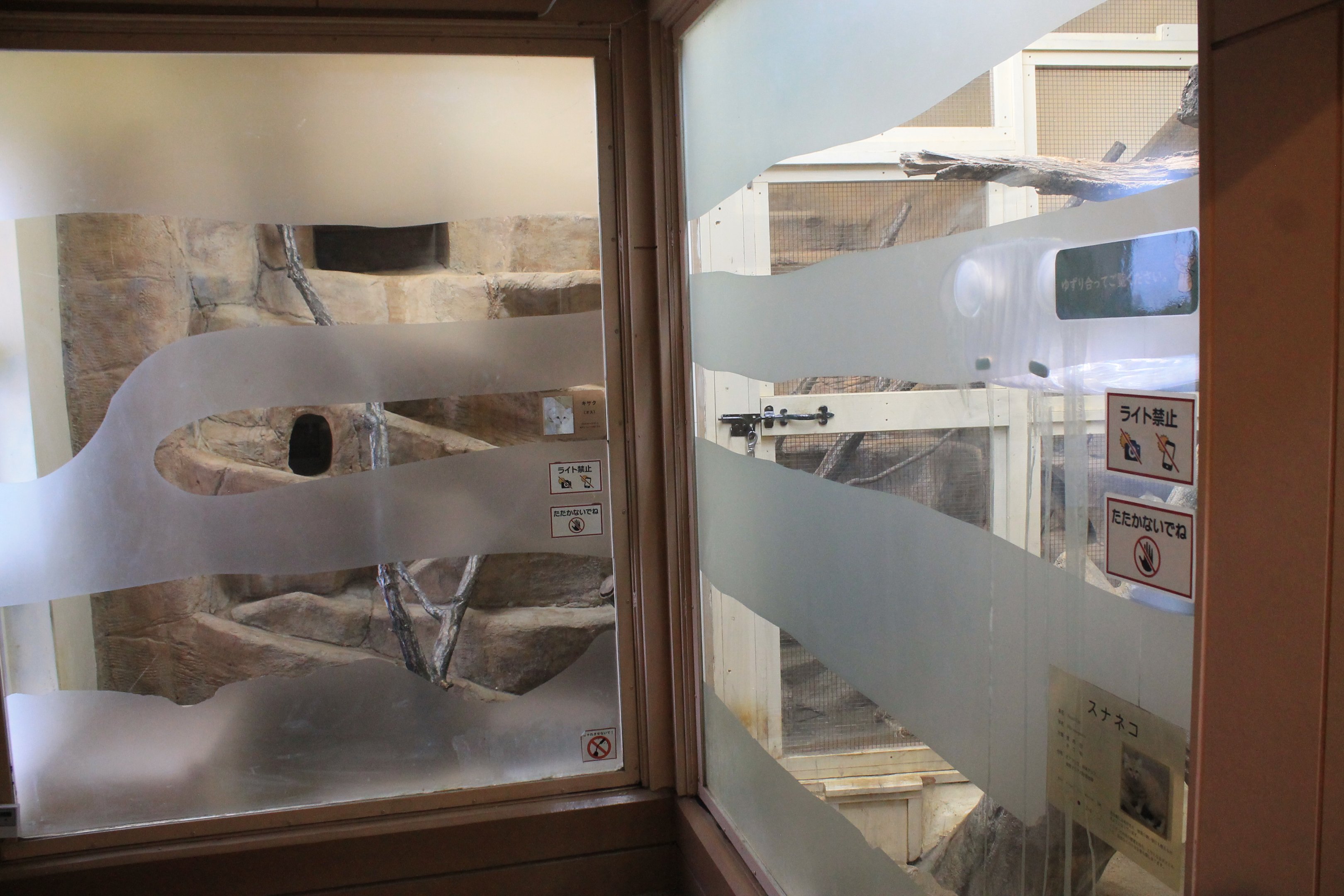 Sand Cat enclosures - Saitama Childrens Zoo