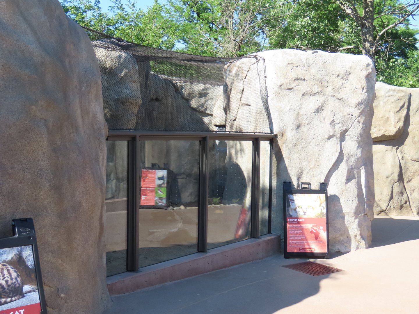 Sand Cat Exhibit - Kopje Renovation