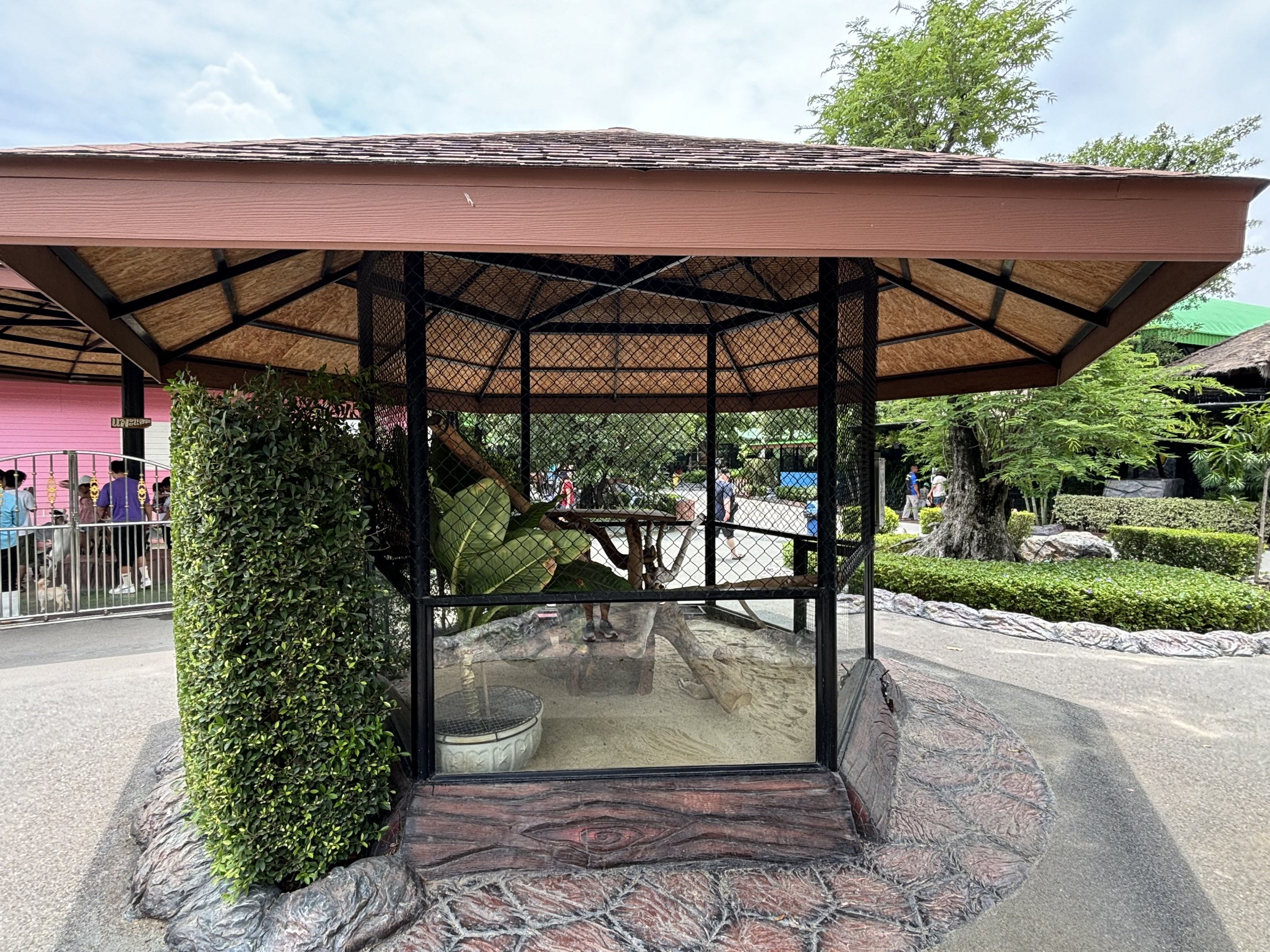 Sand Cat Exhibit - Lion Park