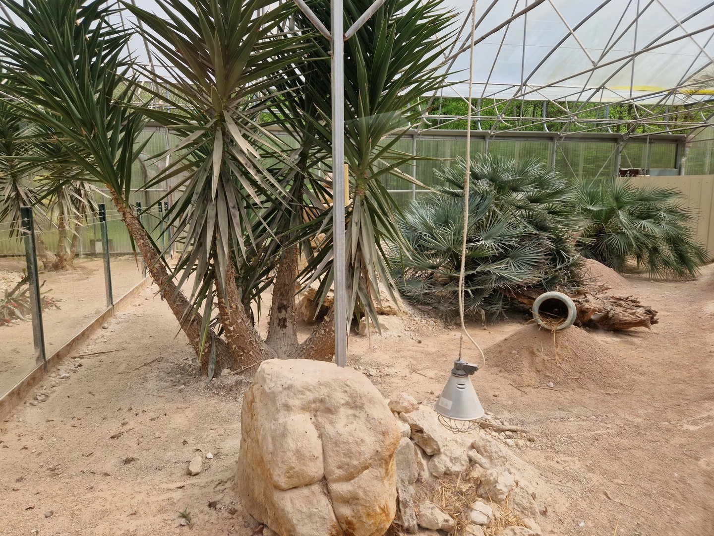 Sand Cat Glass House