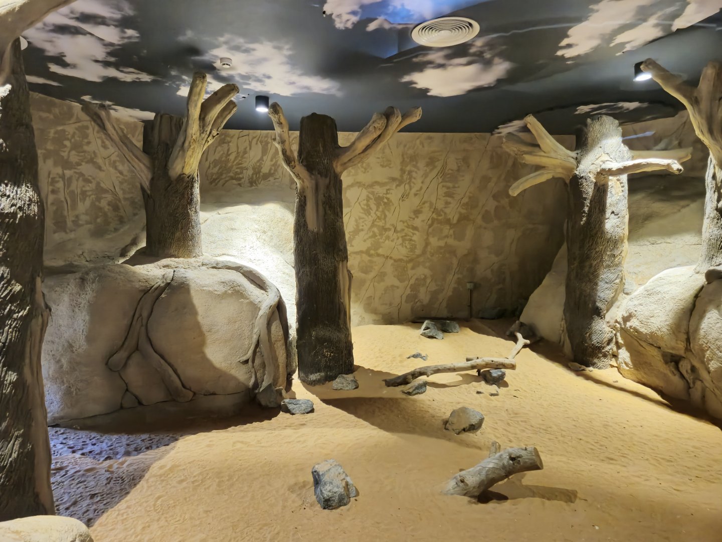 Sand Cat indoor exhibit