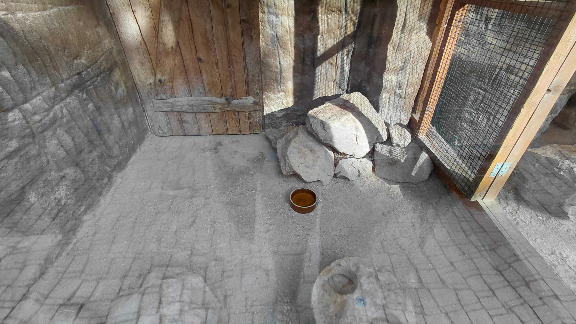 Sand cat indoor exhibit