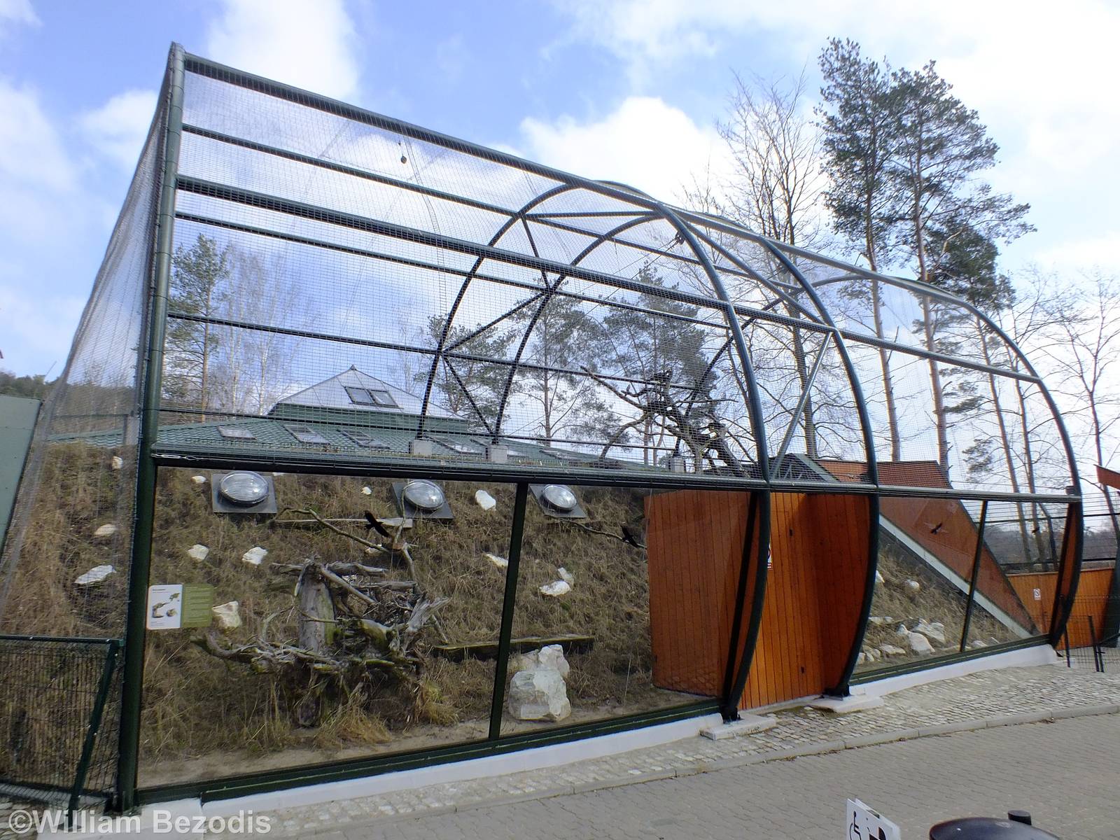 Sand Cat Outdoor Enclosure