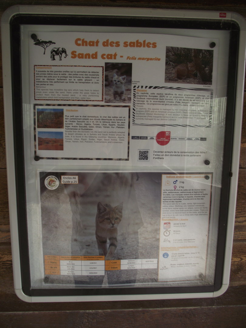 Sand Cat signage