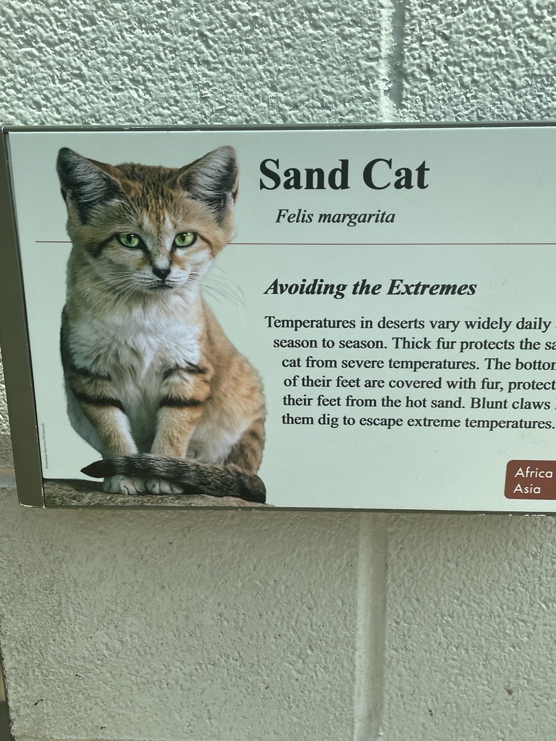 Sand Cat Signage