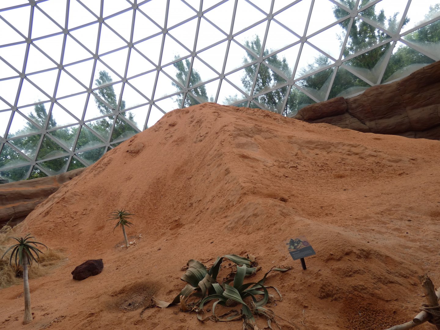 Sand Dune (Red Sand), The Namib Desert, Desert Dome - Jun. 2021