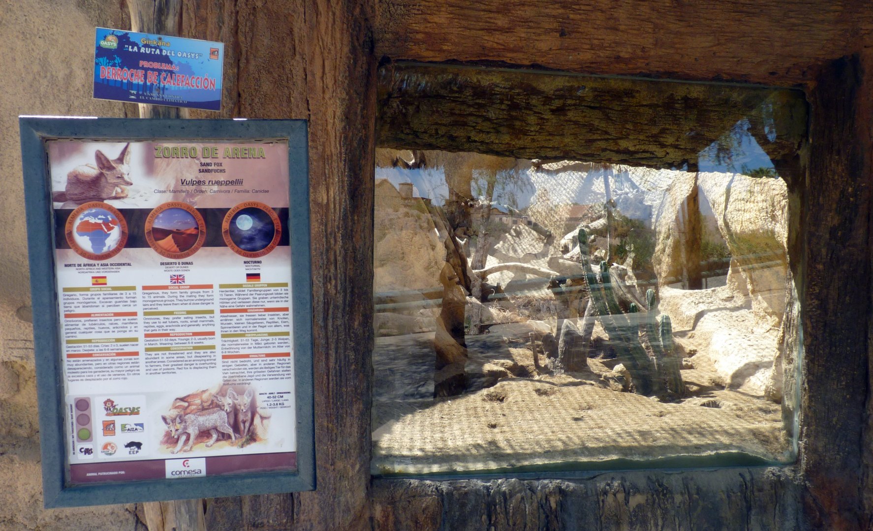 Sand fox enclosure and signage