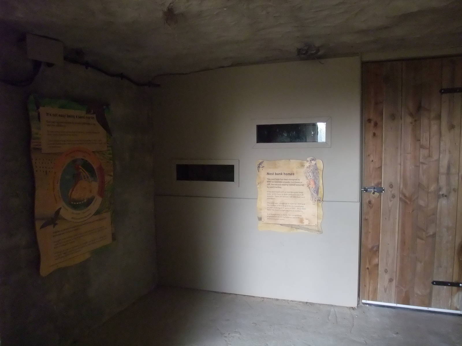 Sand Martin Hide at London WWT (Barnes), 15/11/11