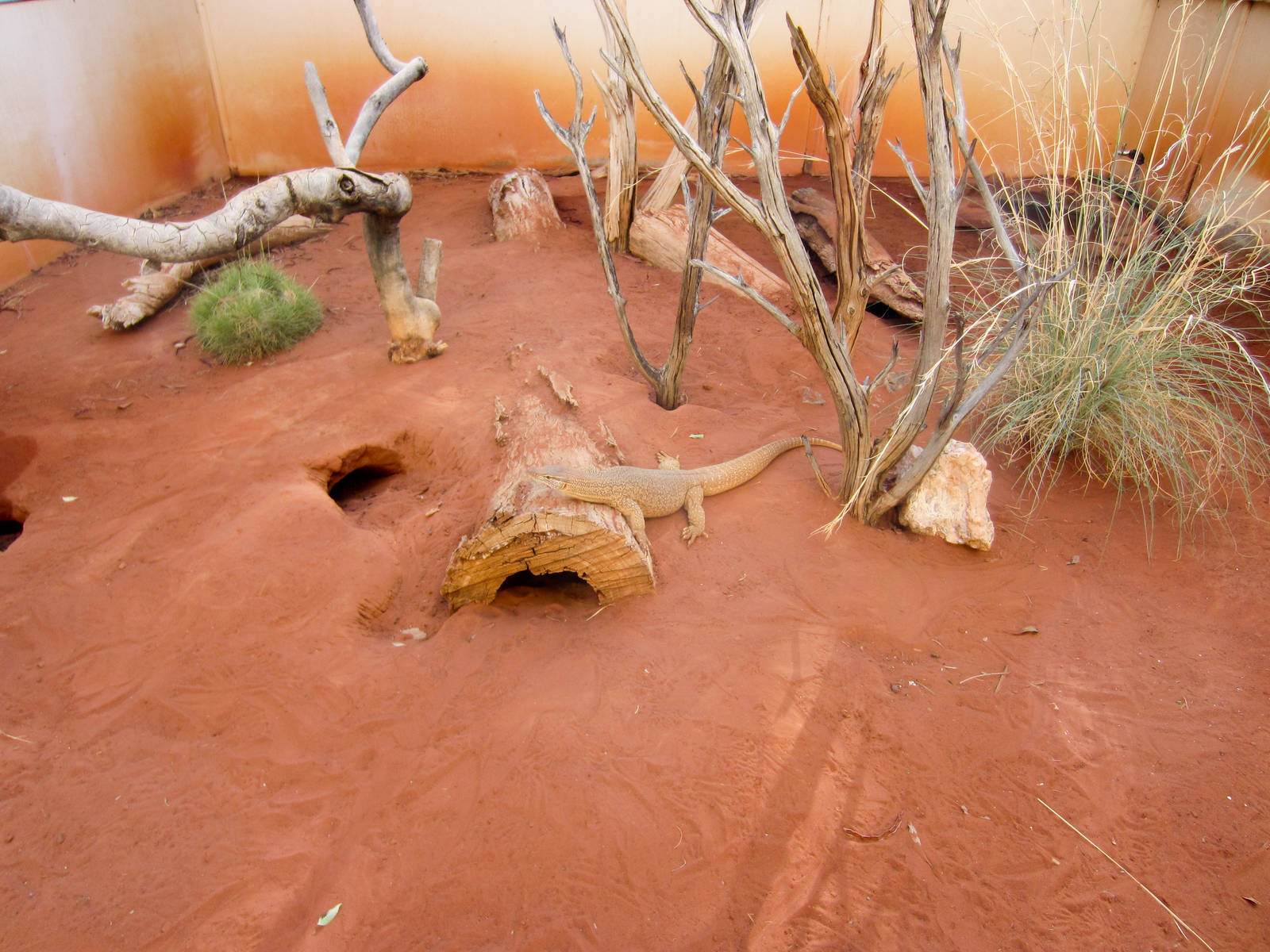 Sand Monitor enclosure