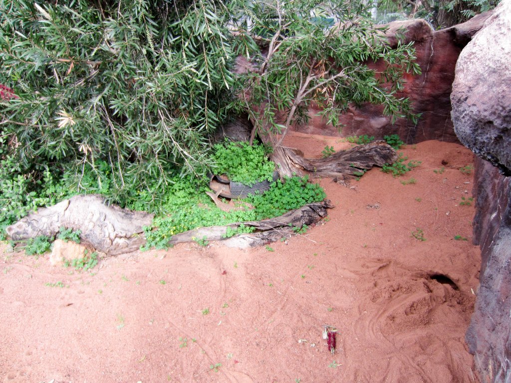 Sand Monitor enclosure