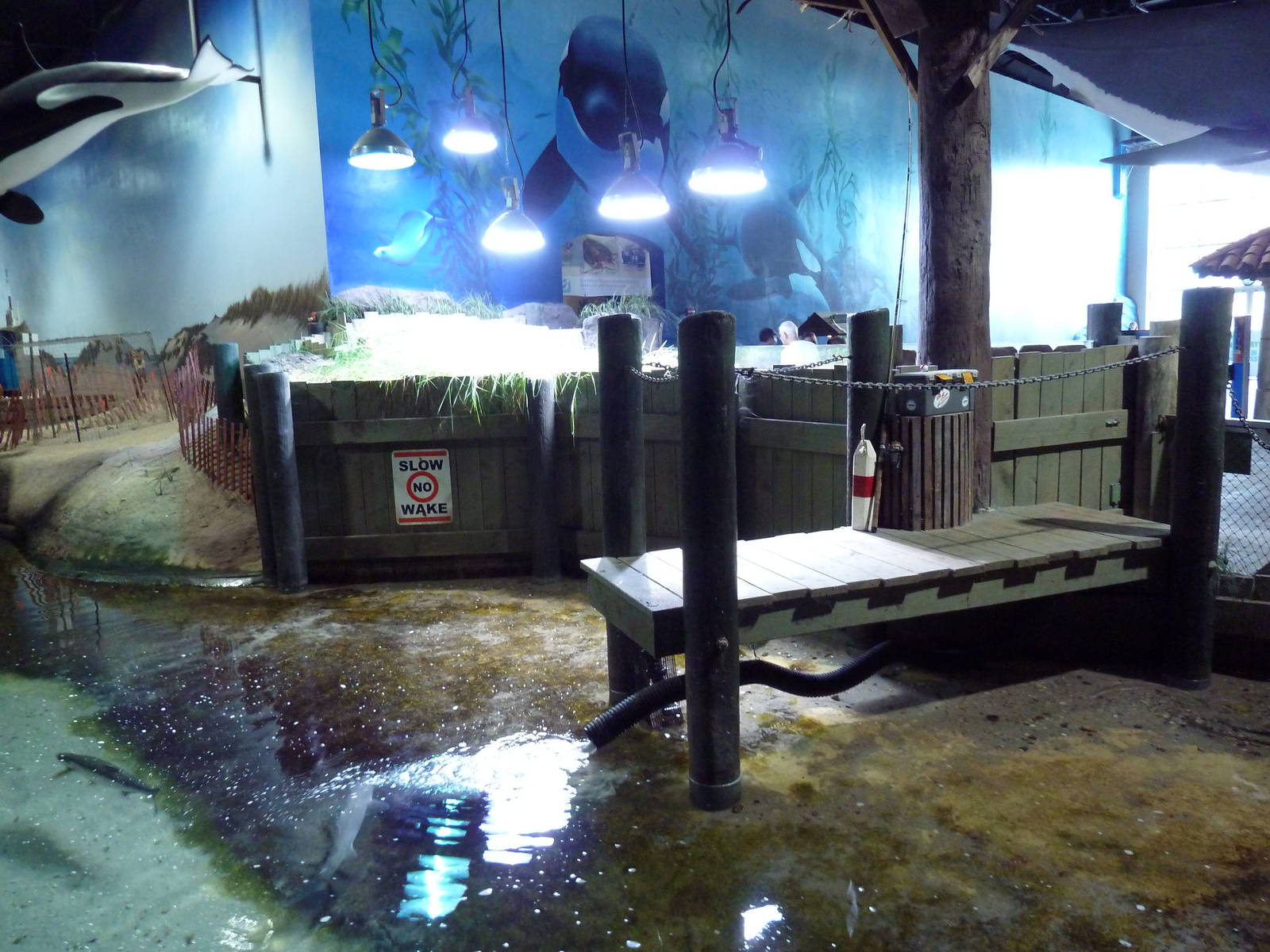 Sand Shark Lagoon (Smooth Dogfish Pool)