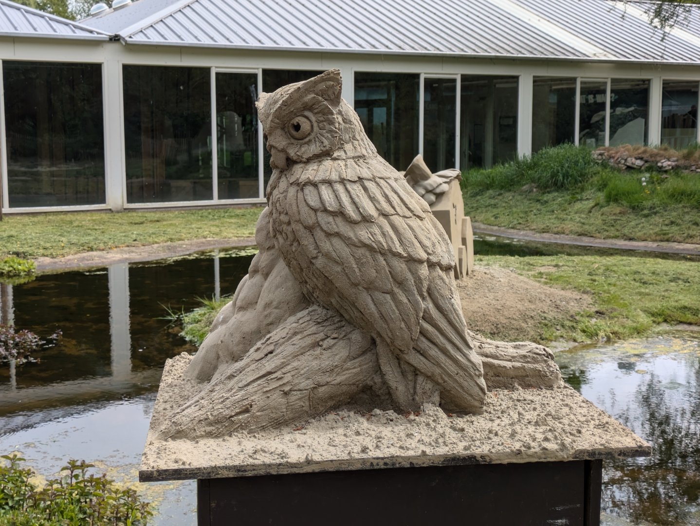 Sand & Zoo event - Owl sand sculpture