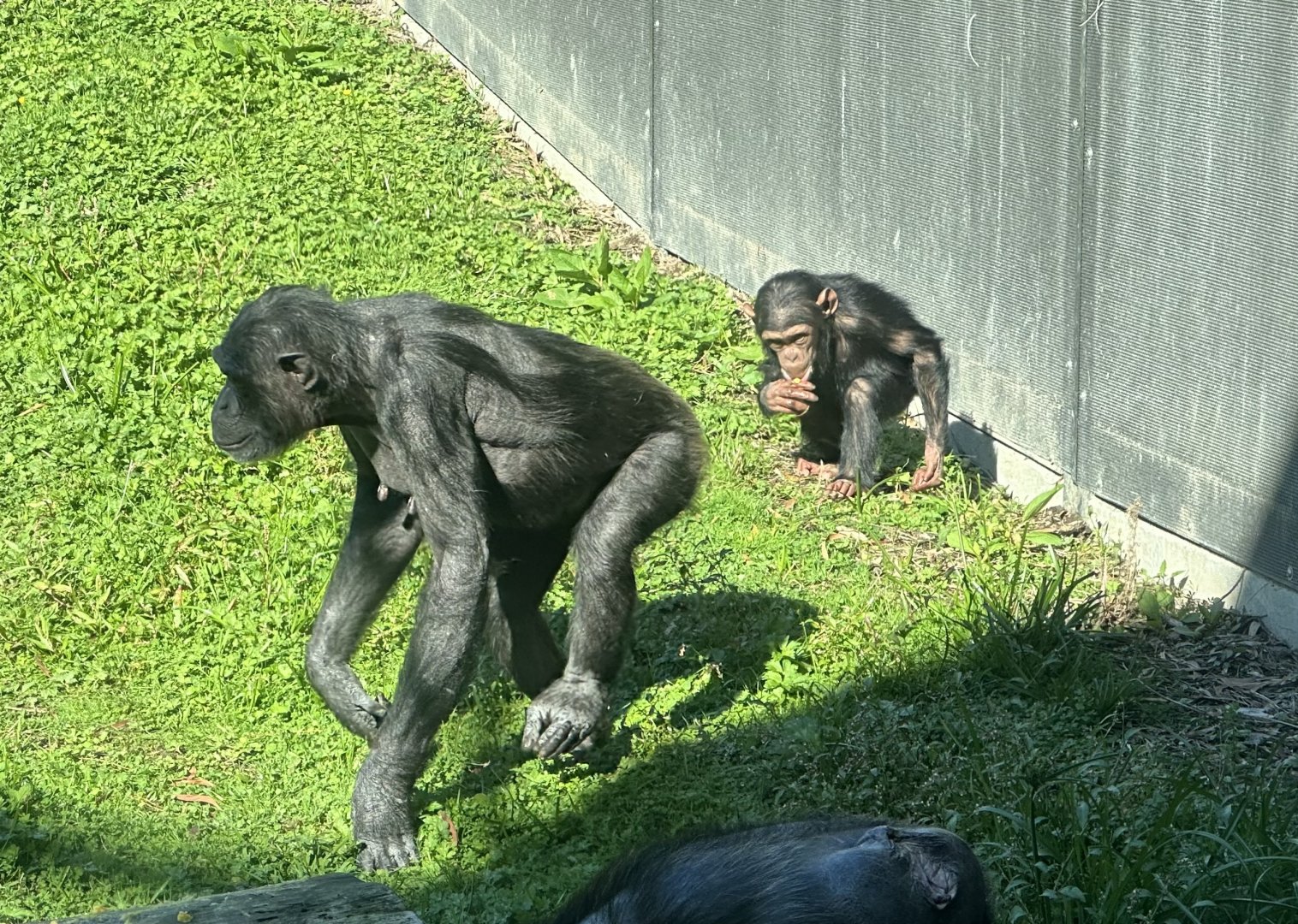 Sanda and Kendi (Mother and Daughter)