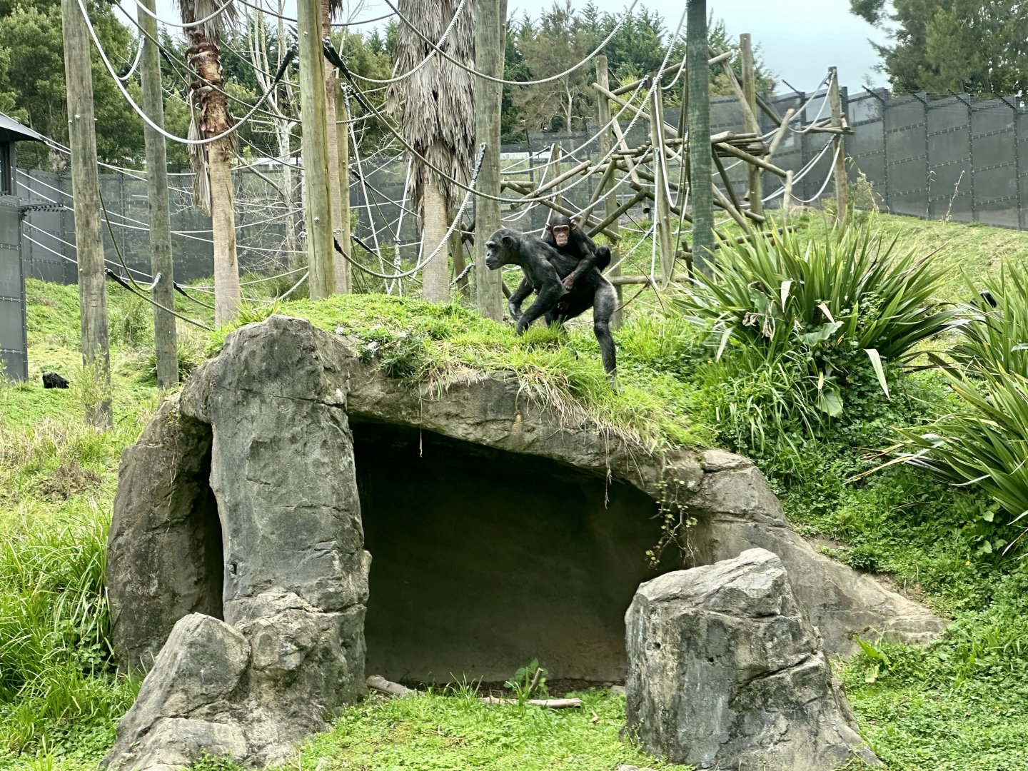 Sanda and Kendi (Mother and Infant)