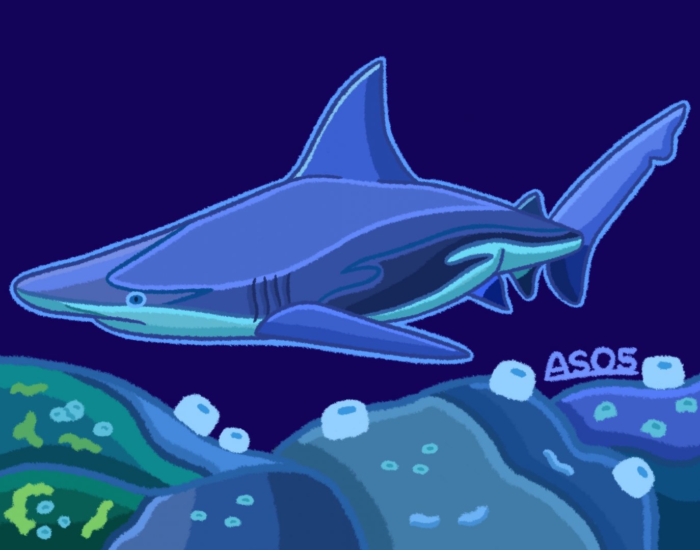 Sandbar Shark (Remastered 2024)