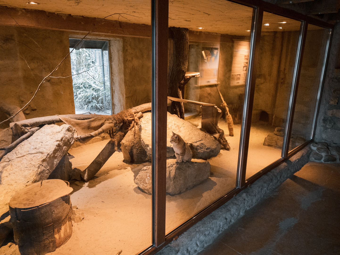 Sandcat enclosure part I