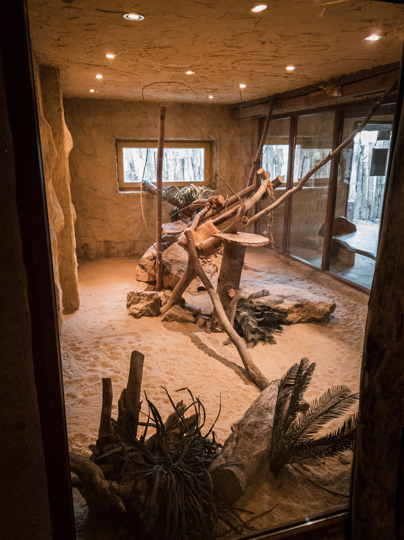 Sandcat enclosure part II