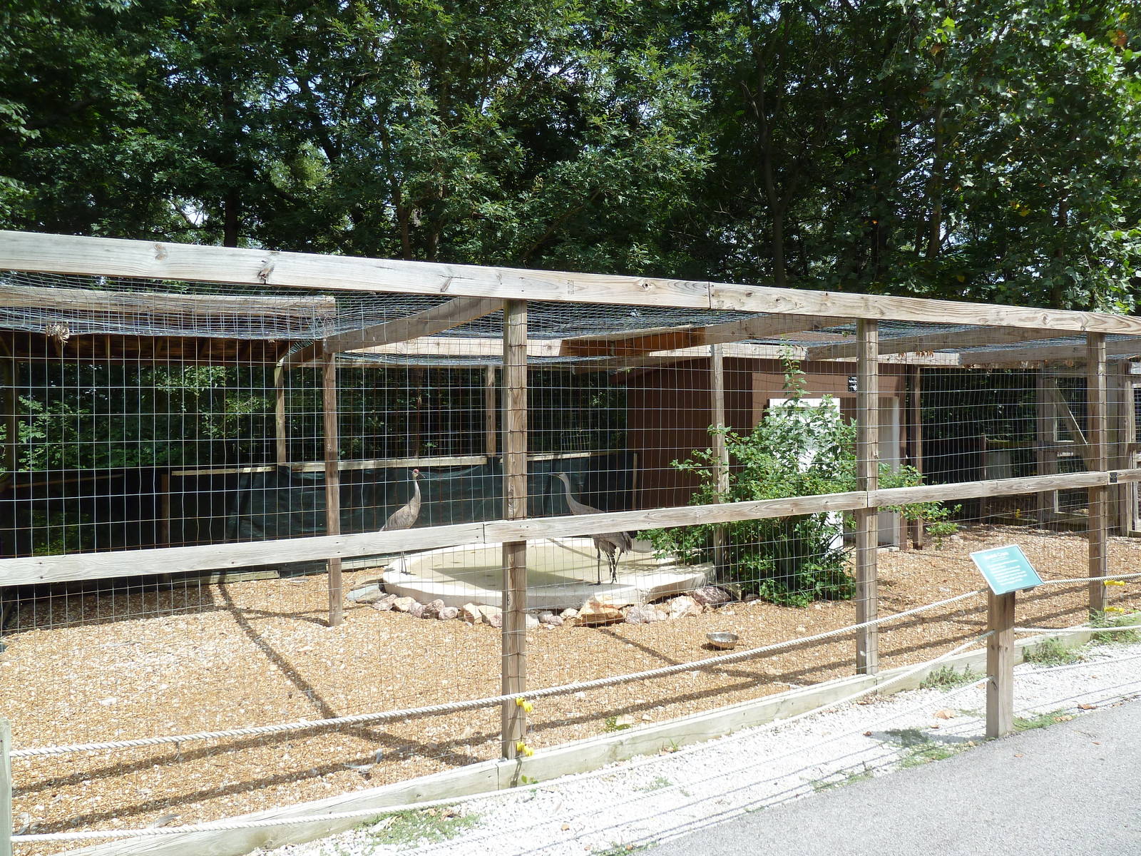Sandhill Crane Aviary