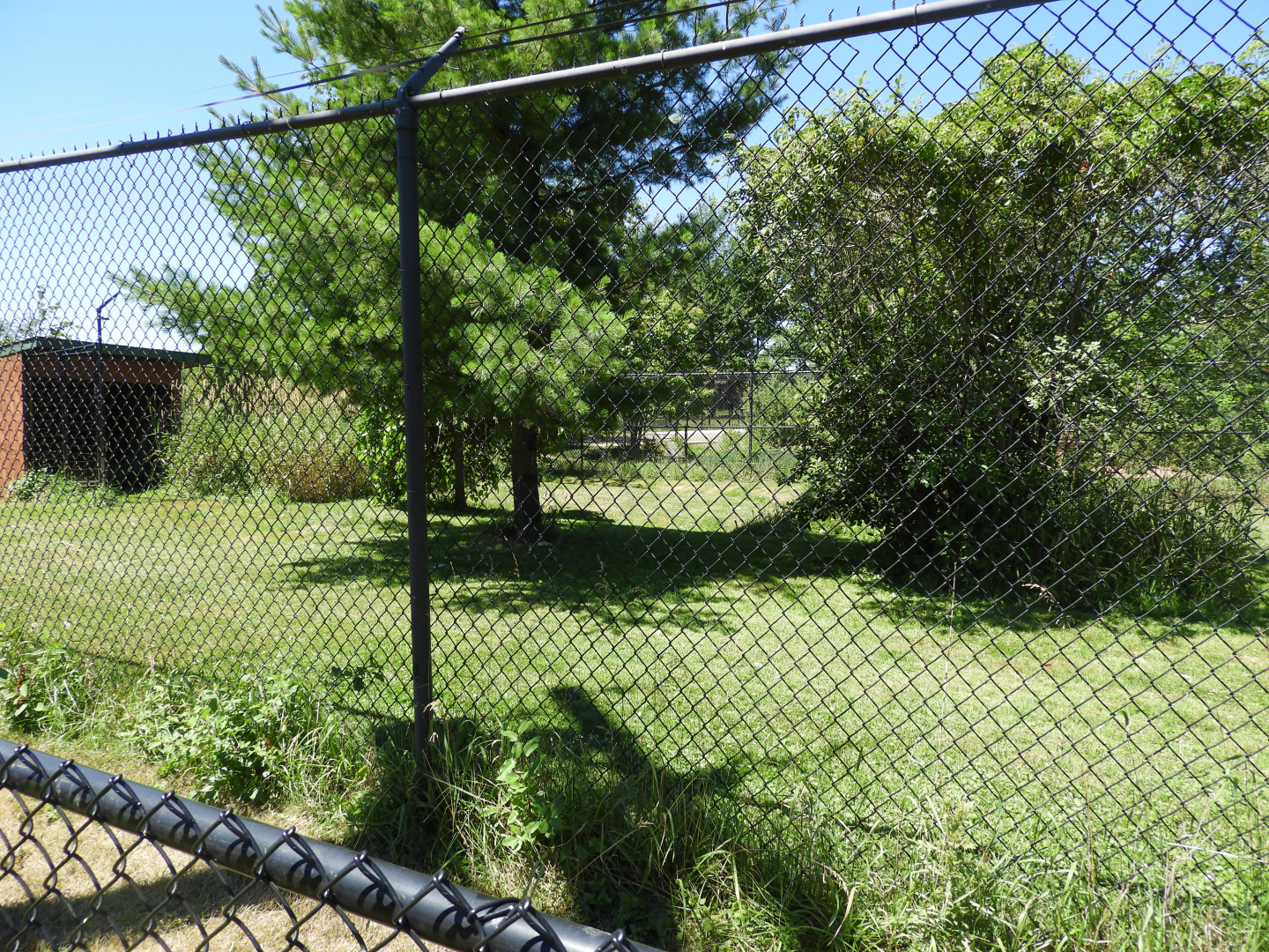 Sandhill Crane exhibit (second half) - Wildwood Zoo