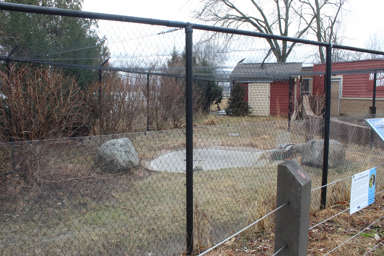 Sandhill Crane Exhibit - Wisconsin Heritage