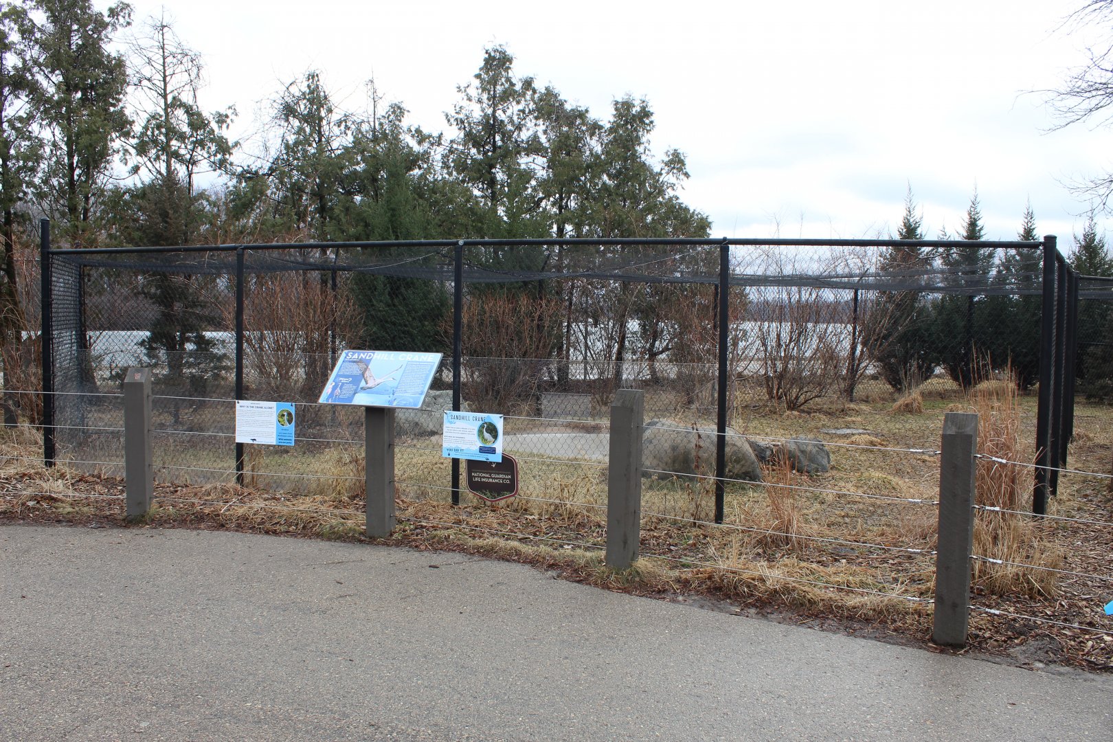 Sandhill Crane Exhibit - Wisconsin Heritage