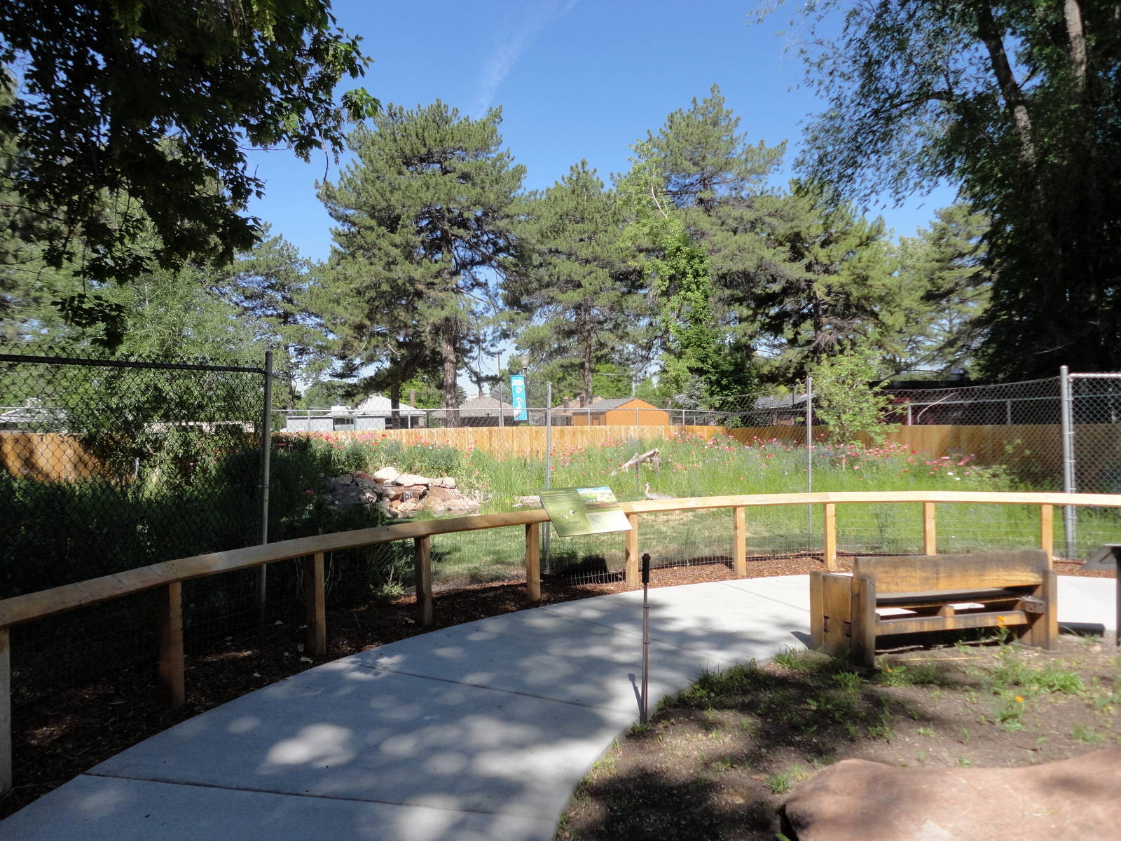 Sandhill Crane Exhibit