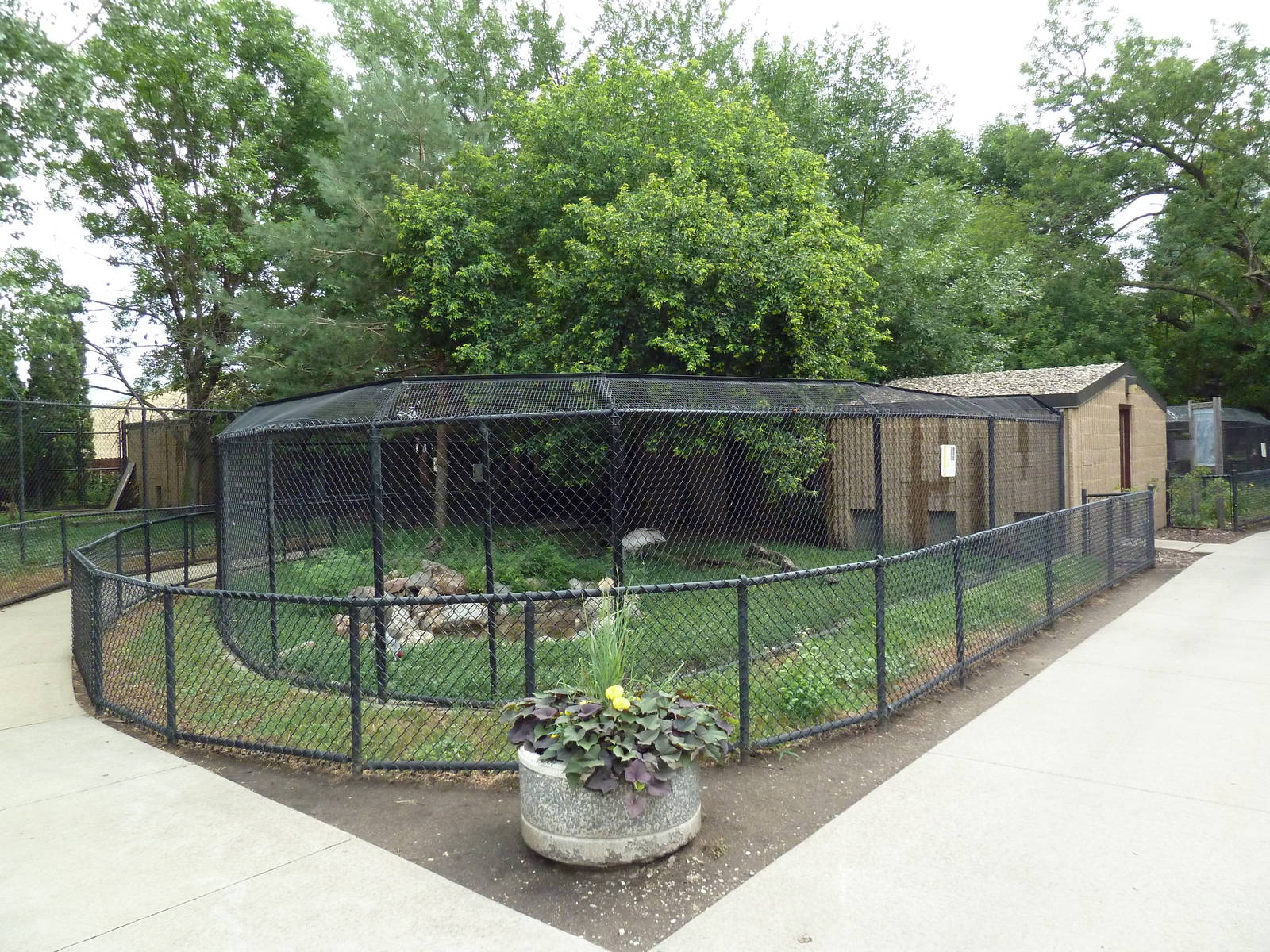 Sandhill Crane Exhibit