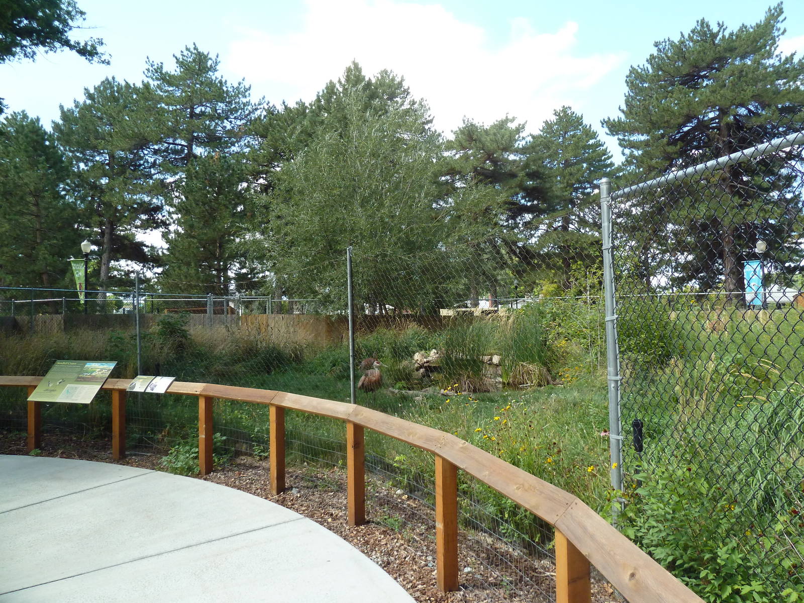 Sandhill Crane Exhibit