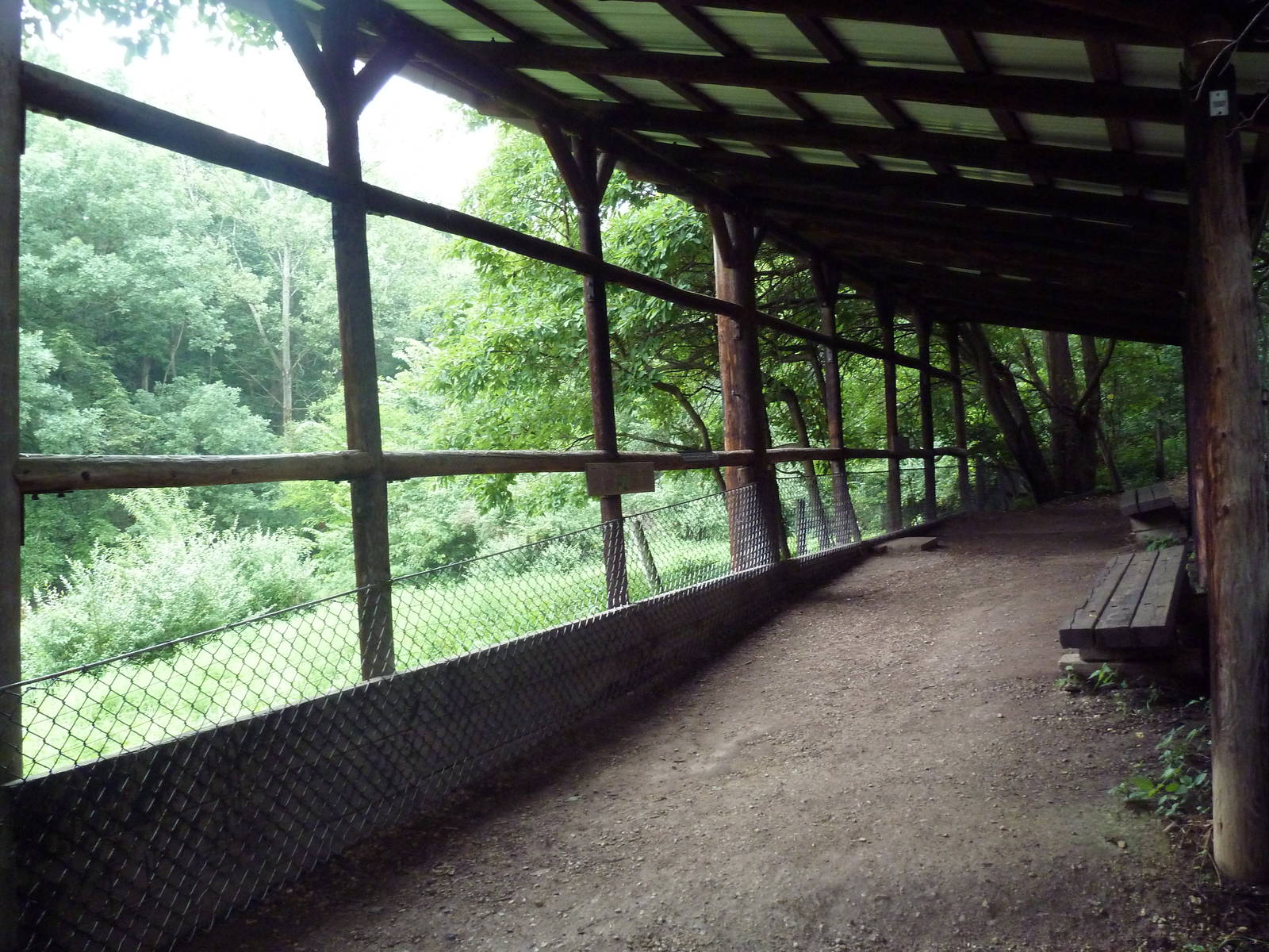 Sandhill Crane Exhibit