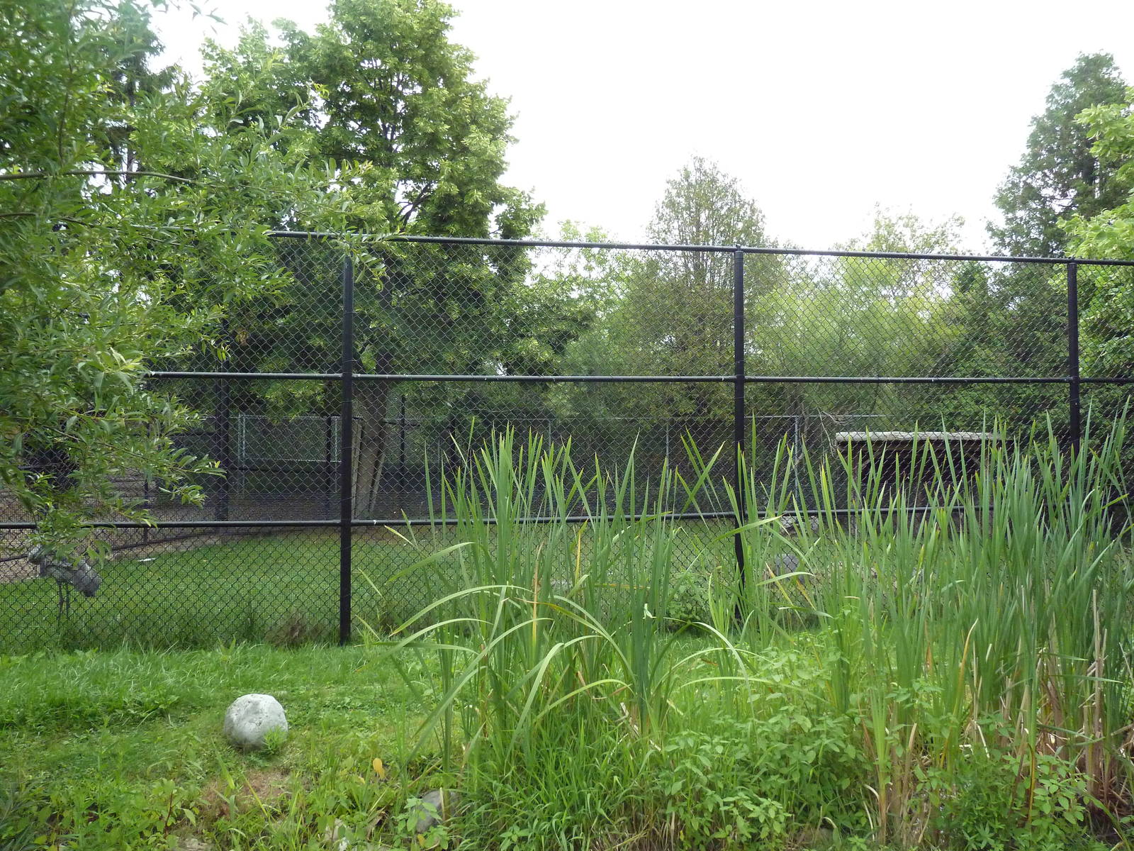 Sandhill Crane Exhibit