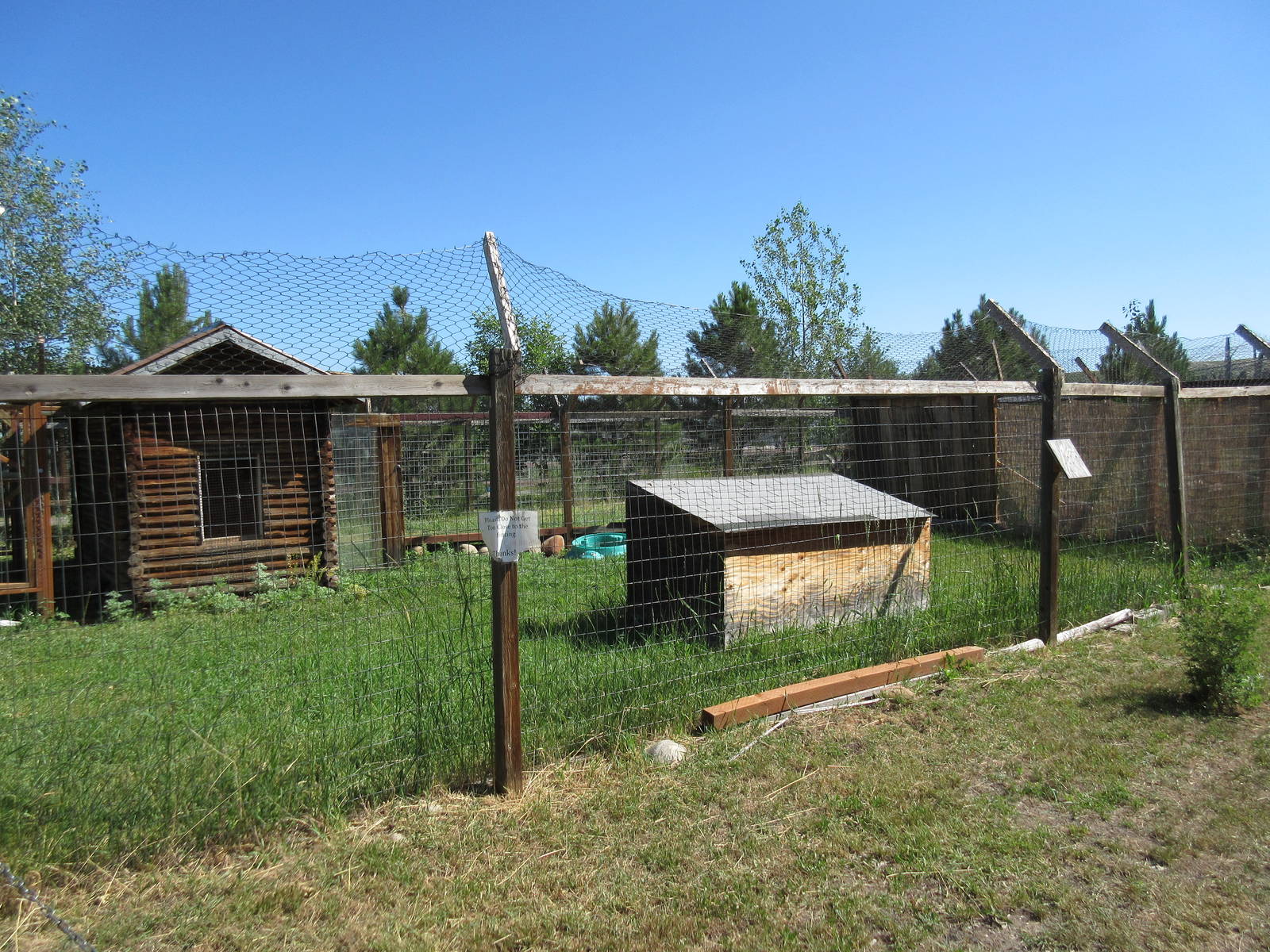 Sandhill Crane Exhibit