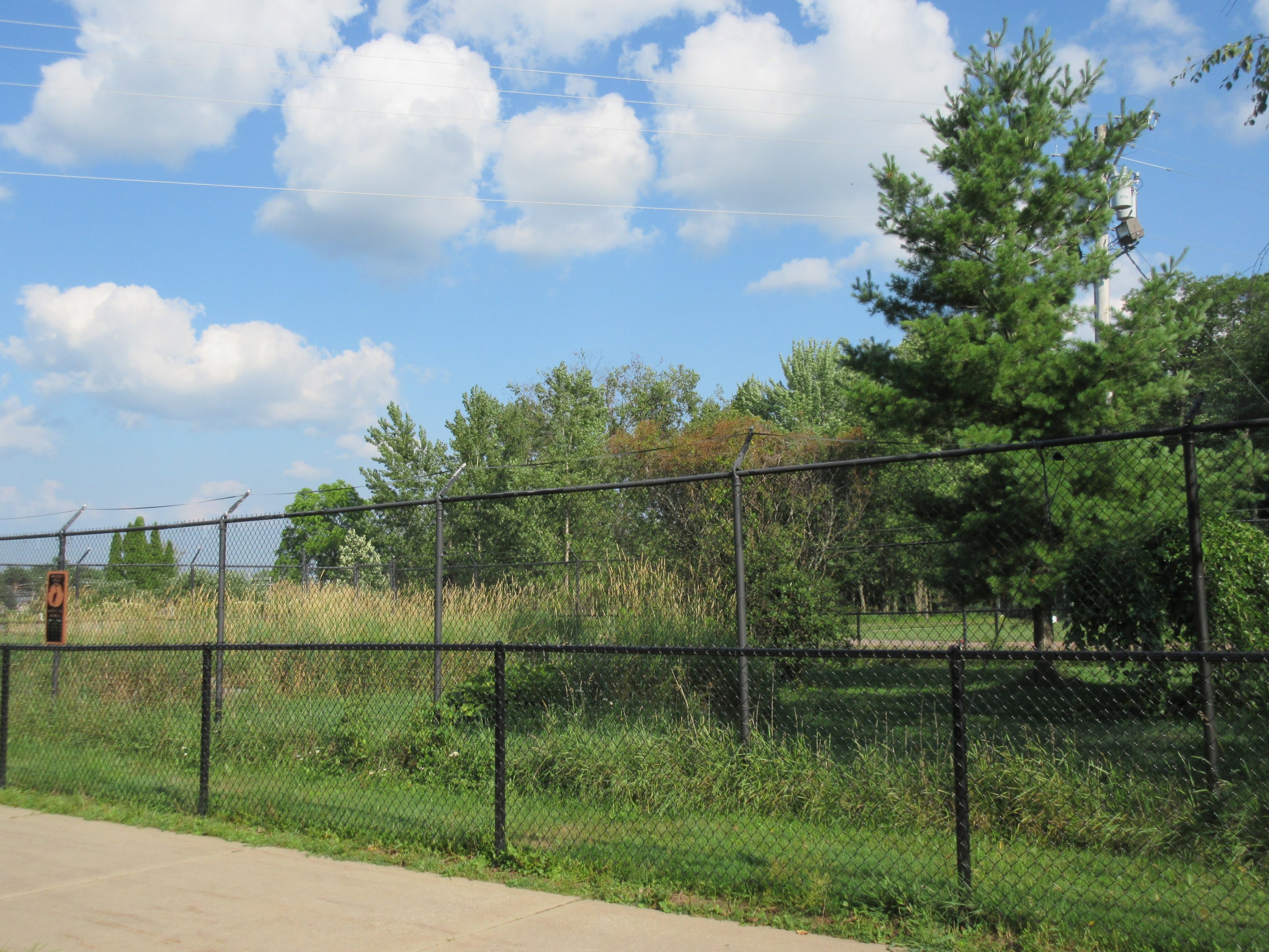 Sandhill Crane Exhibit