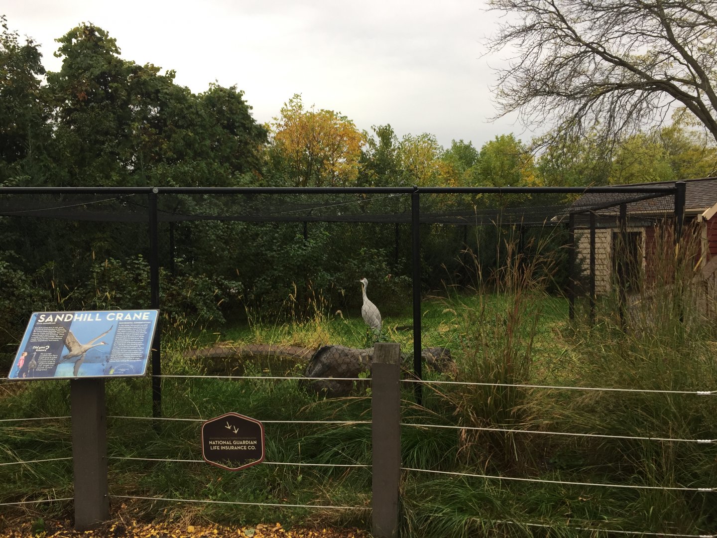 Sandhill Crane Exhibit