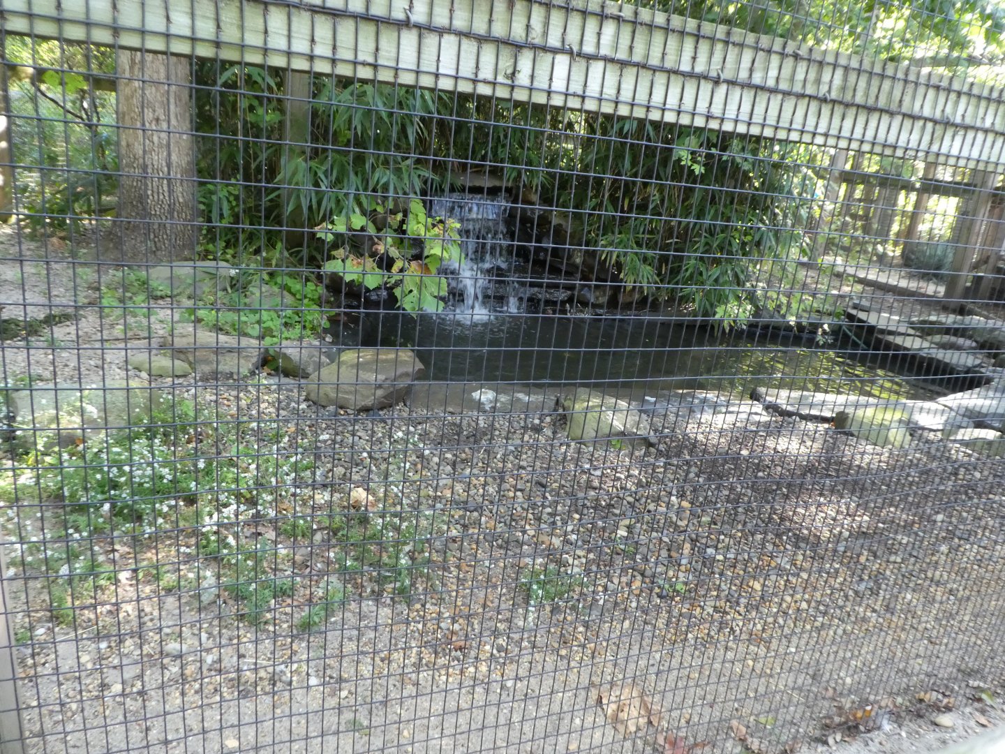 Sandhill Crane Exhibit