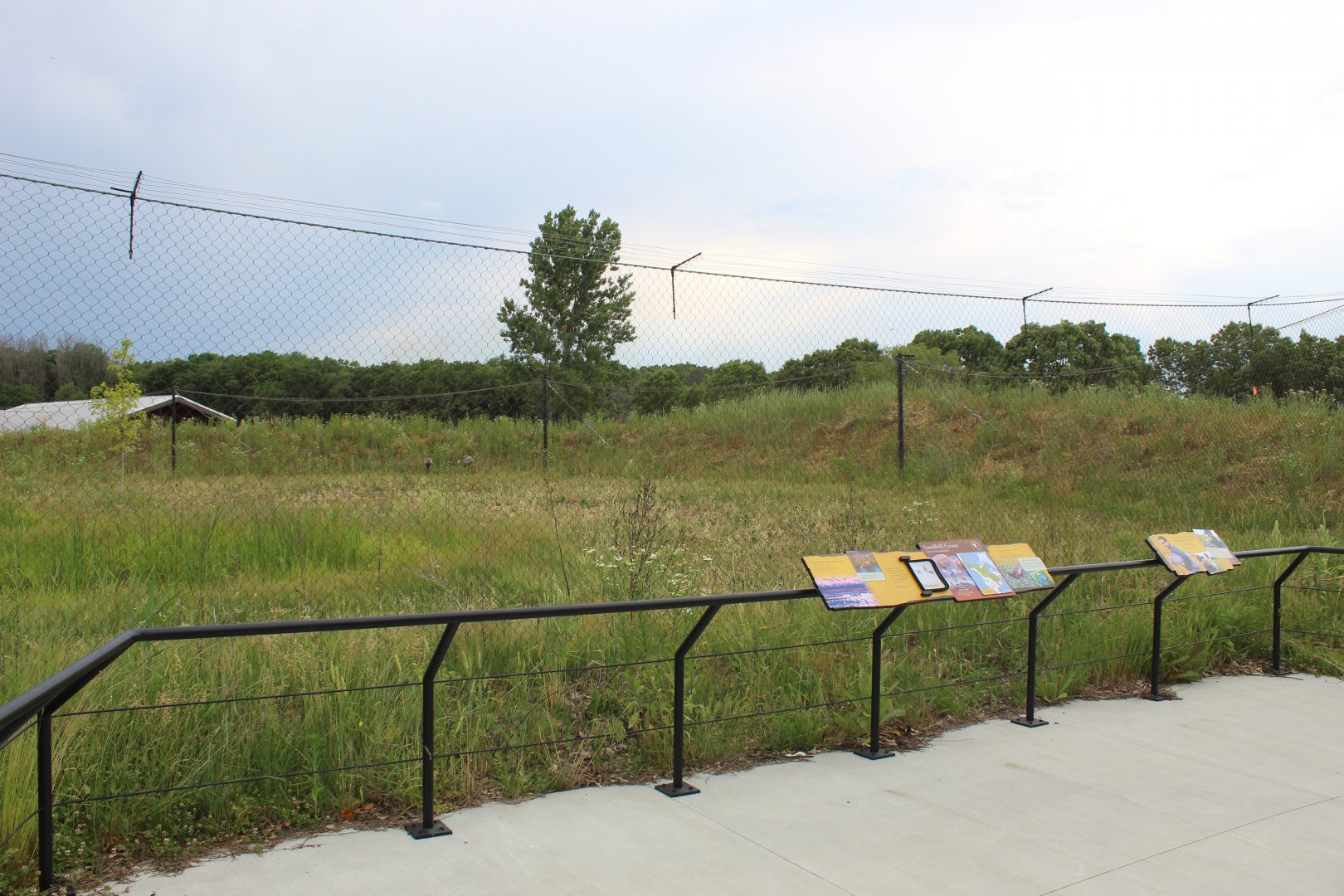 Sandhill Crane Exhibit