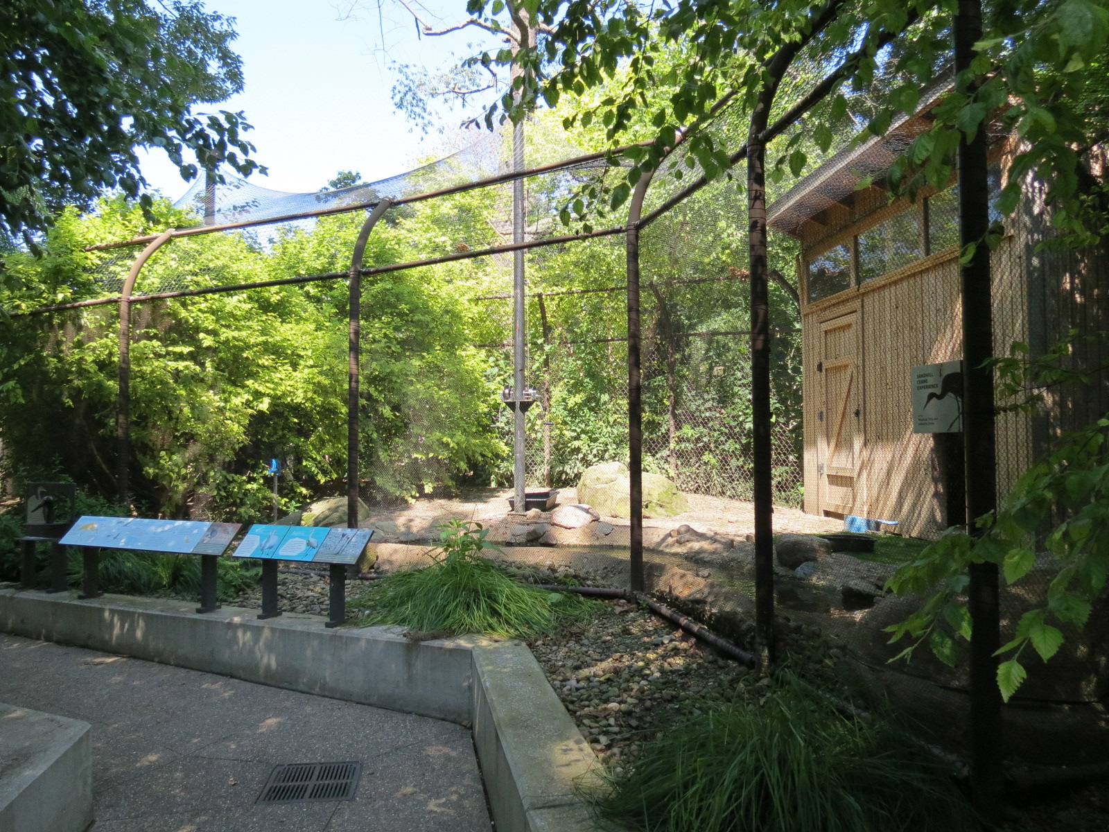 Sandhill Crane Exhibit