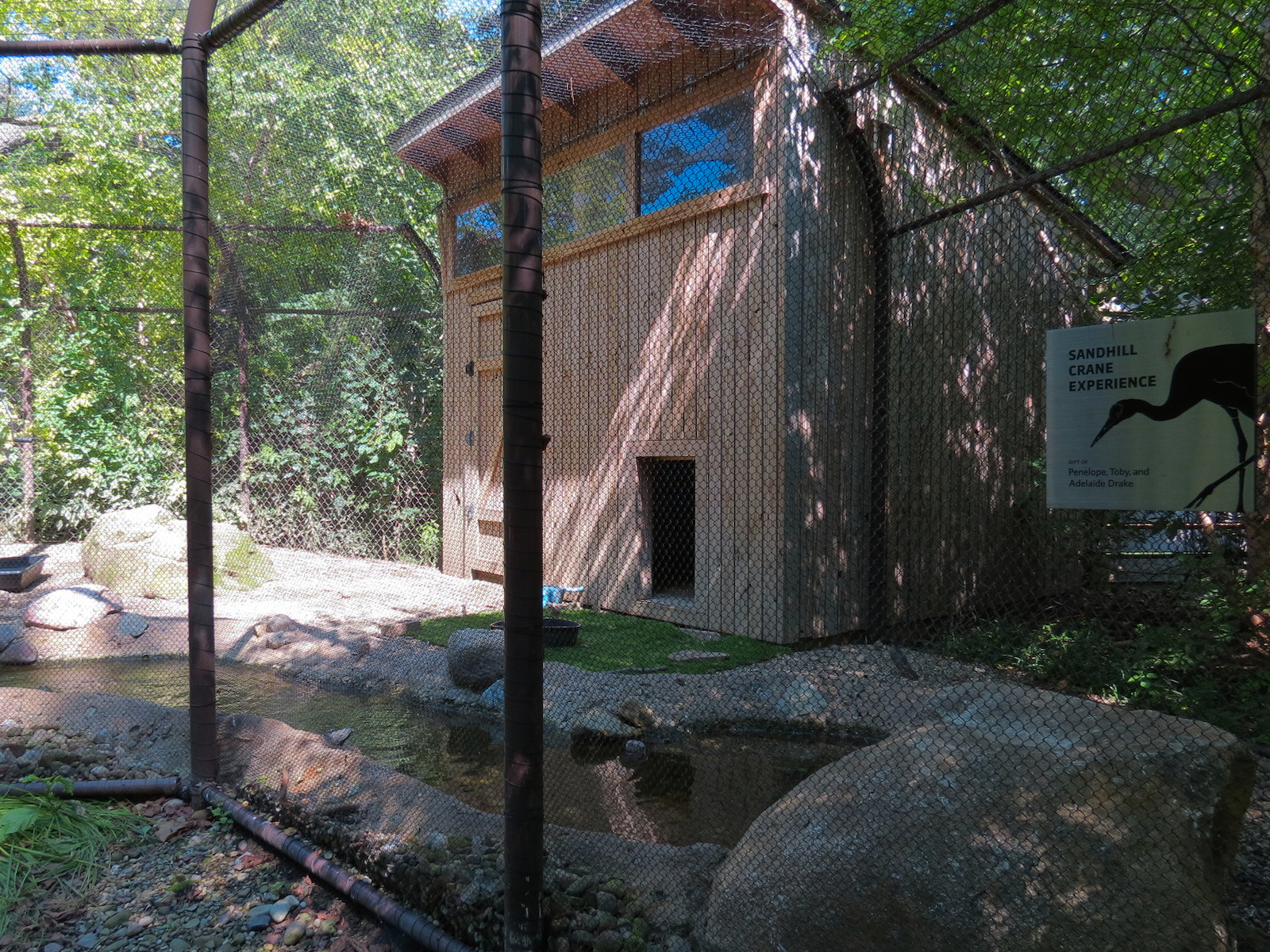 Sandhill Crane Exhibit
