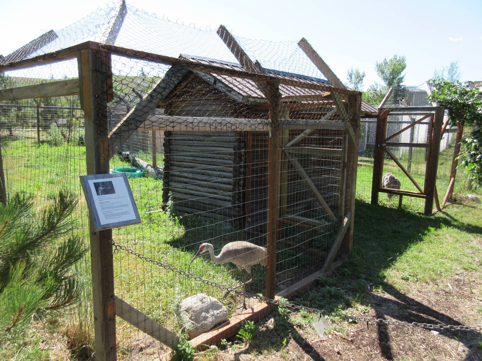 Sandhill Crane Exhibits