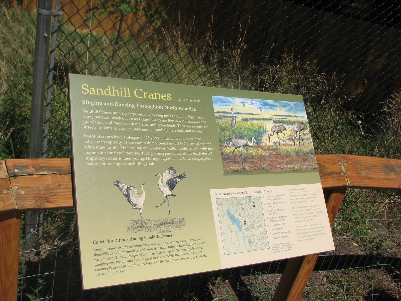 Sandhill Crane Signage